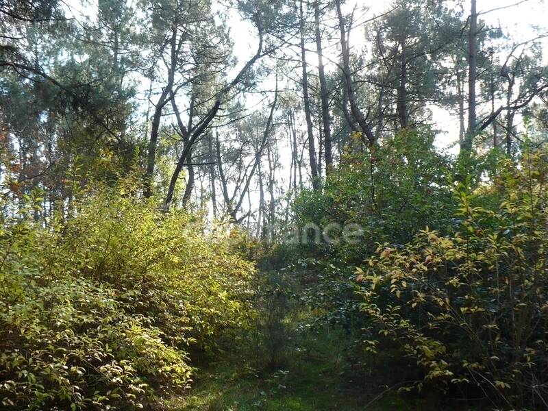 Terrain à NIVILLAC