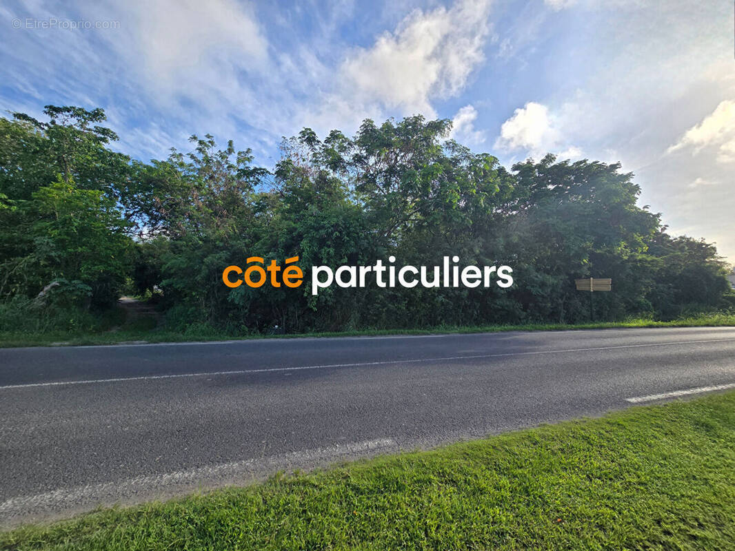 Terrain à SAINT-FRANCOIS