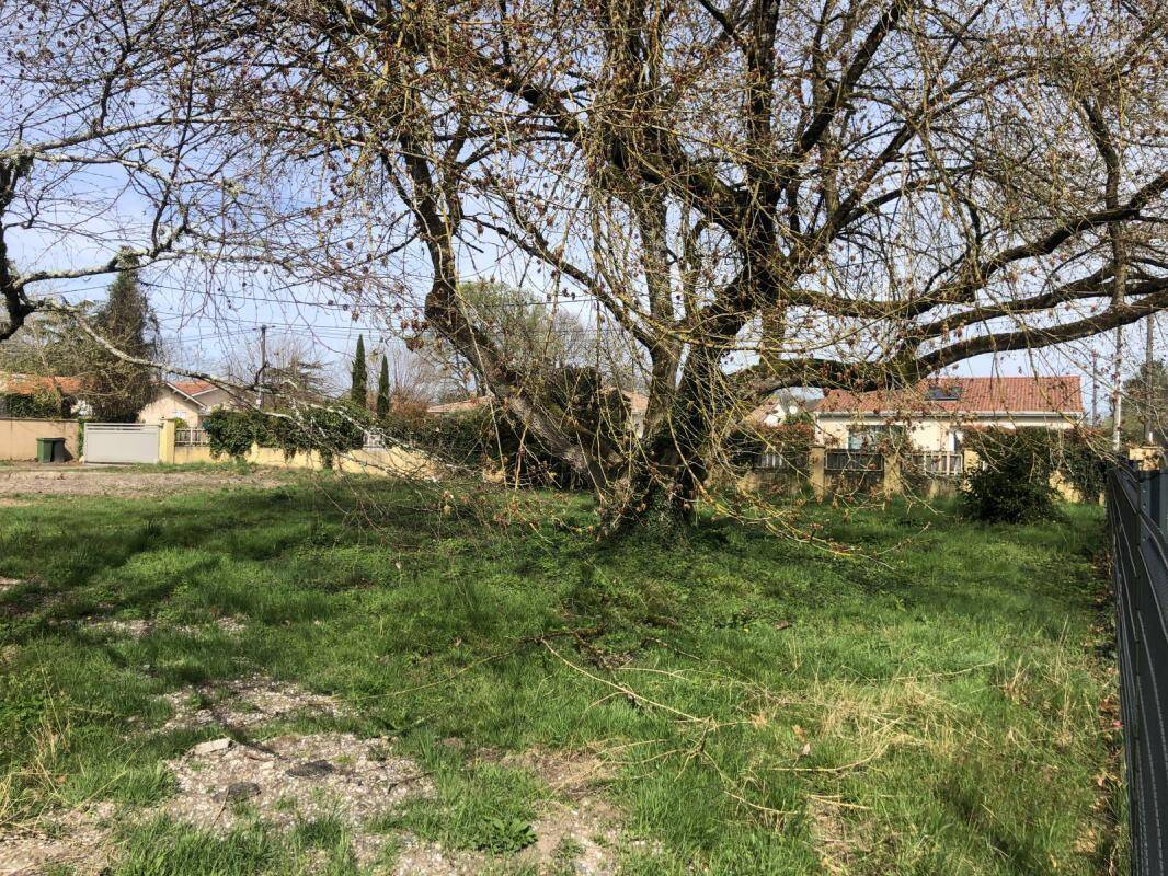 Terrain à BLANQUEFORT