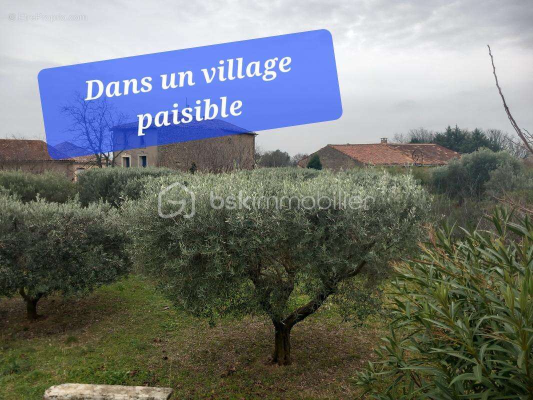 Terrain à SAINT-FELIX-DE-LODEZ