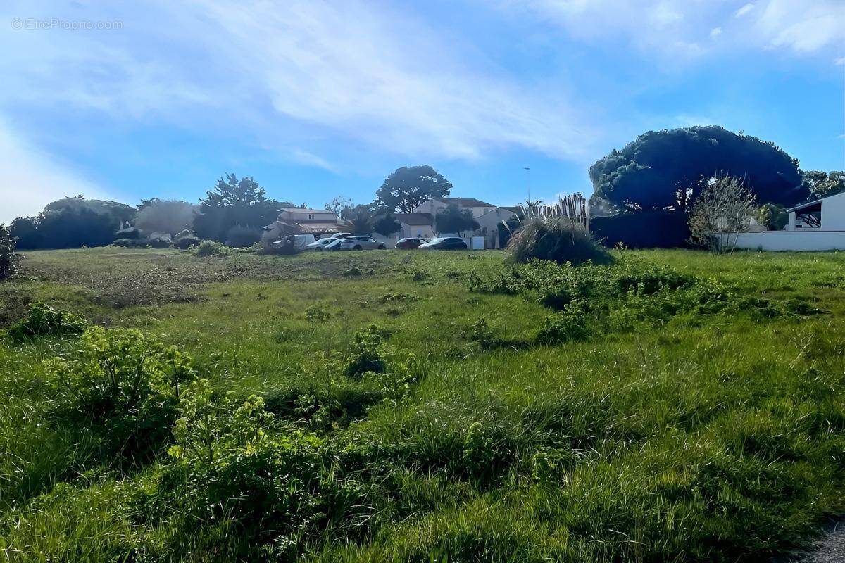 Terrain à SAINT-DENIS-D&#039;OLERON