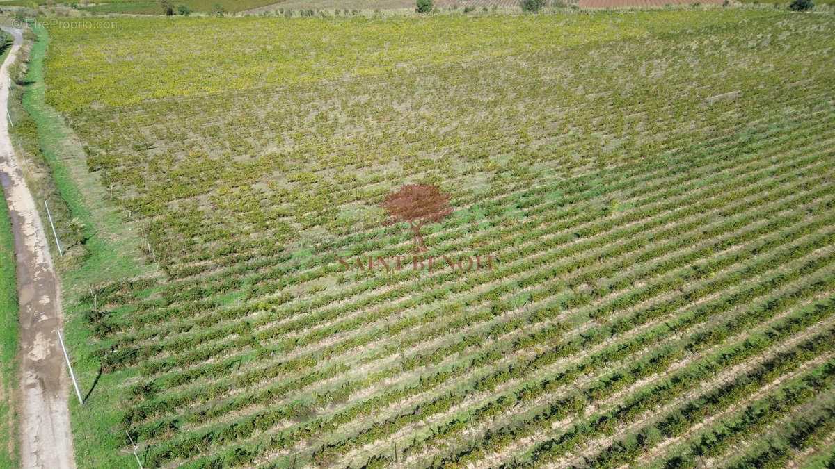 Terrain à CLERMONT-L&#039;HERAULT