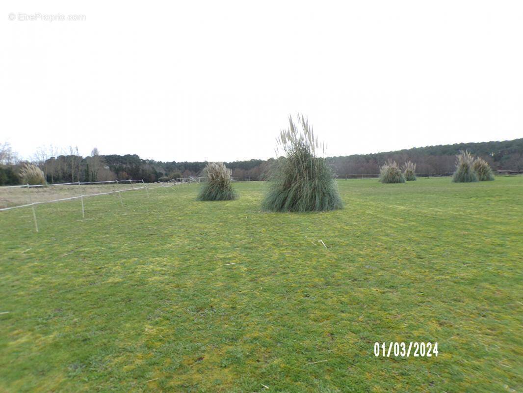 Terrain à SOUSTONS