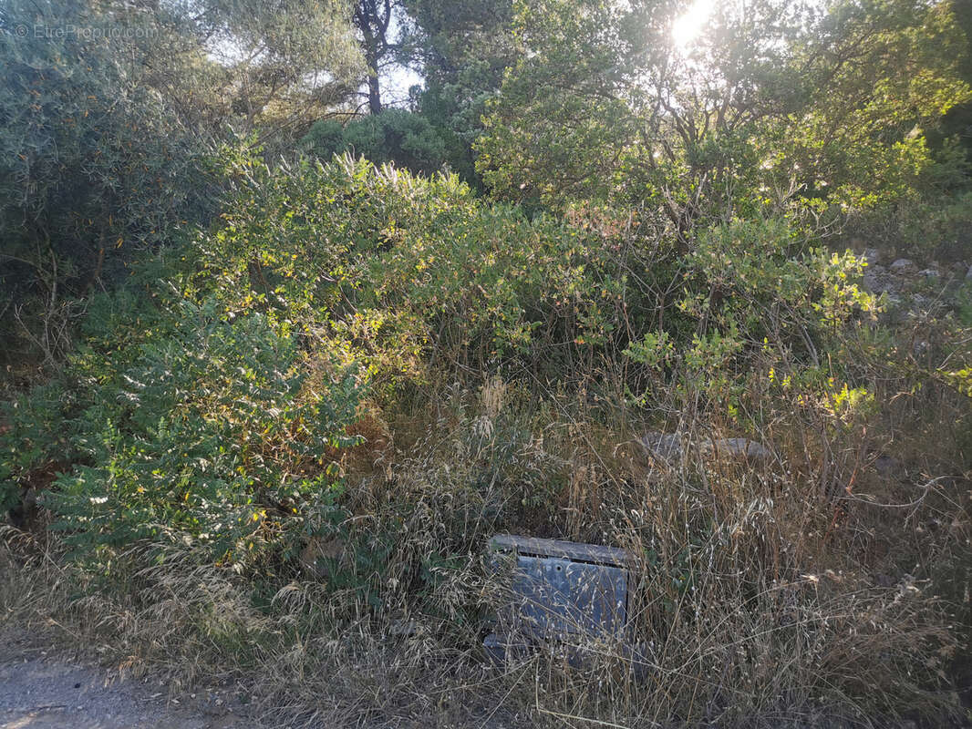 Terrain à LE LUC