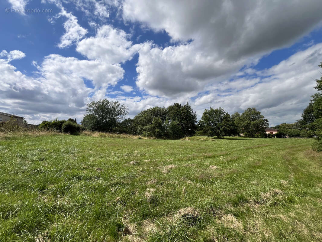 Terrain à MONTAUBAN