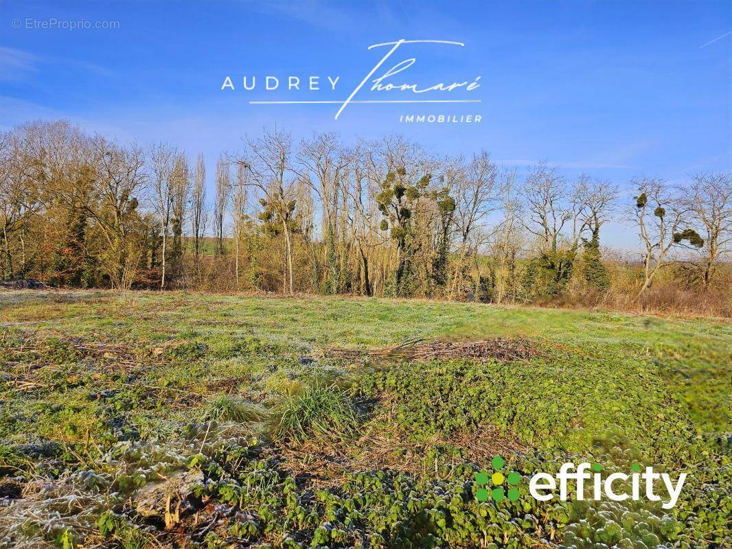 Terrain à MAREUIL-SUR-OURCQ