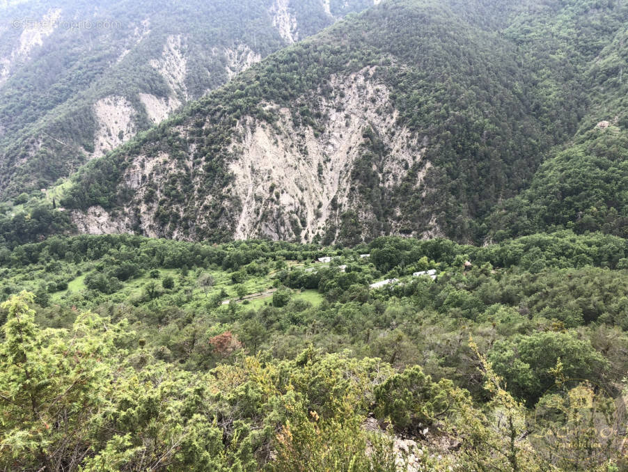 Terrain à LA TOUR