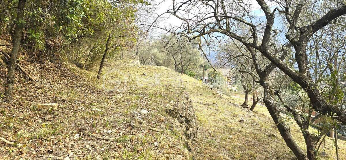 Terrain à PIERREFEU