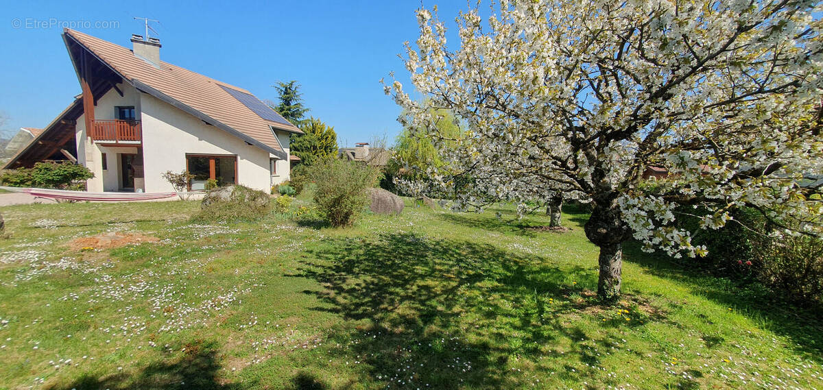 Maison à REIGNIER