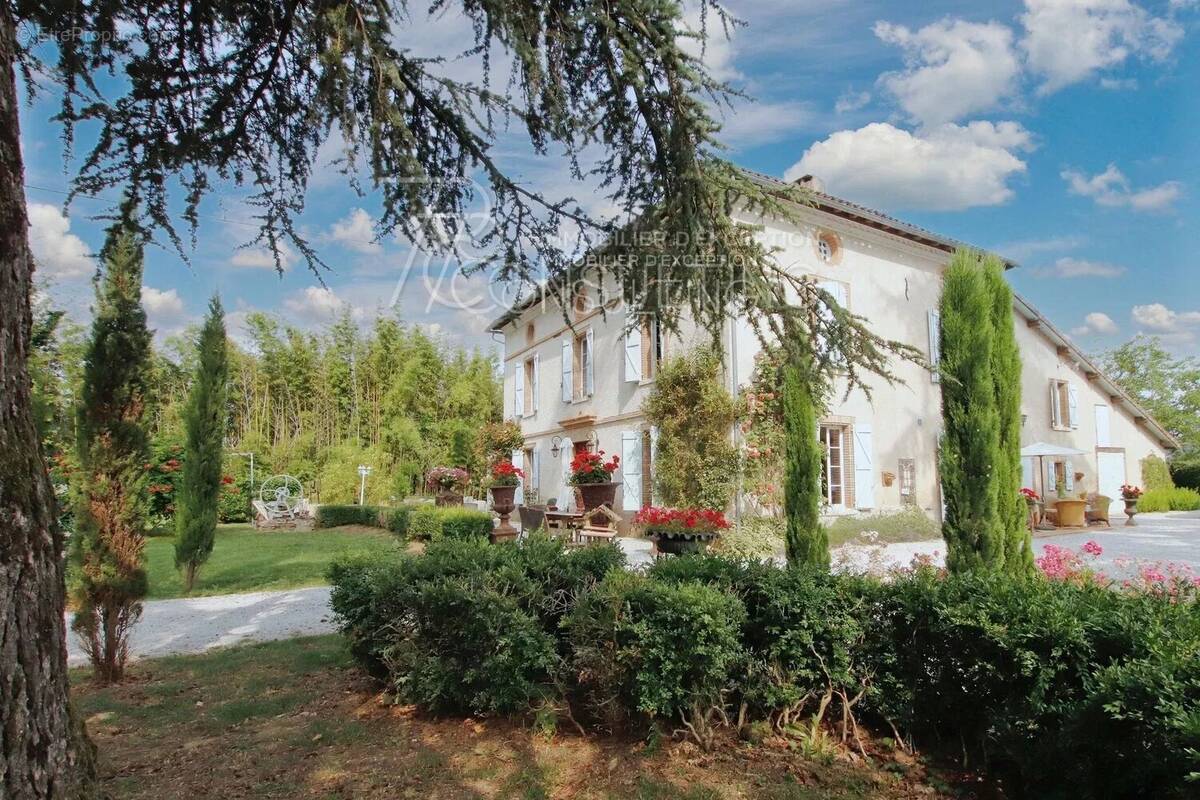 Maison à RABASTENS