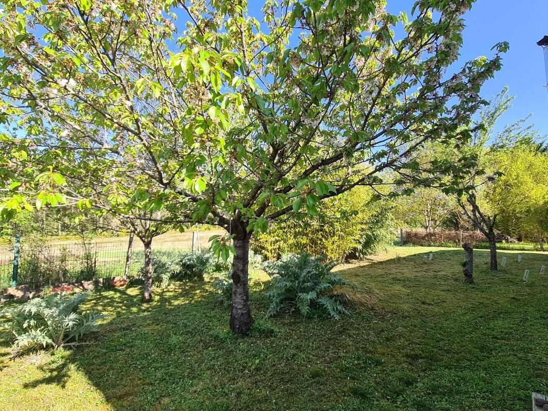 Appartement à MONTBERON