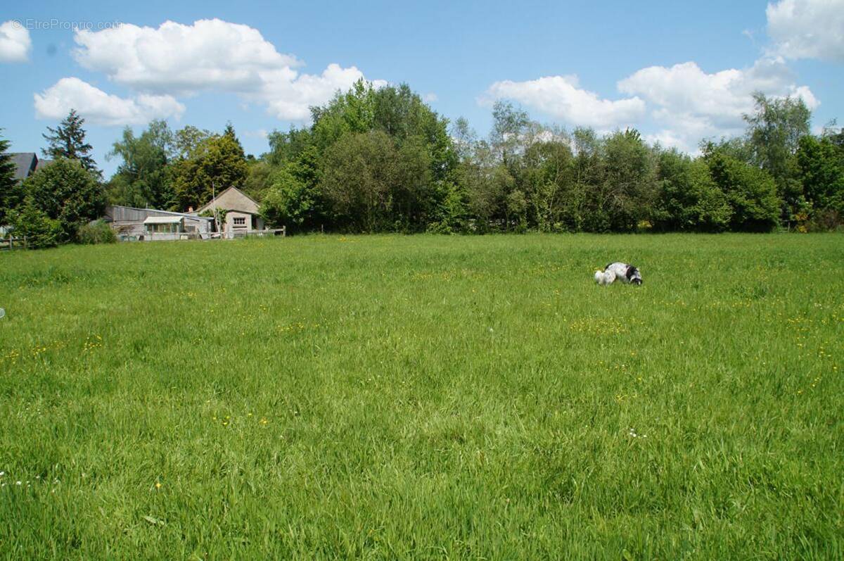 Terrain à TAUPONT