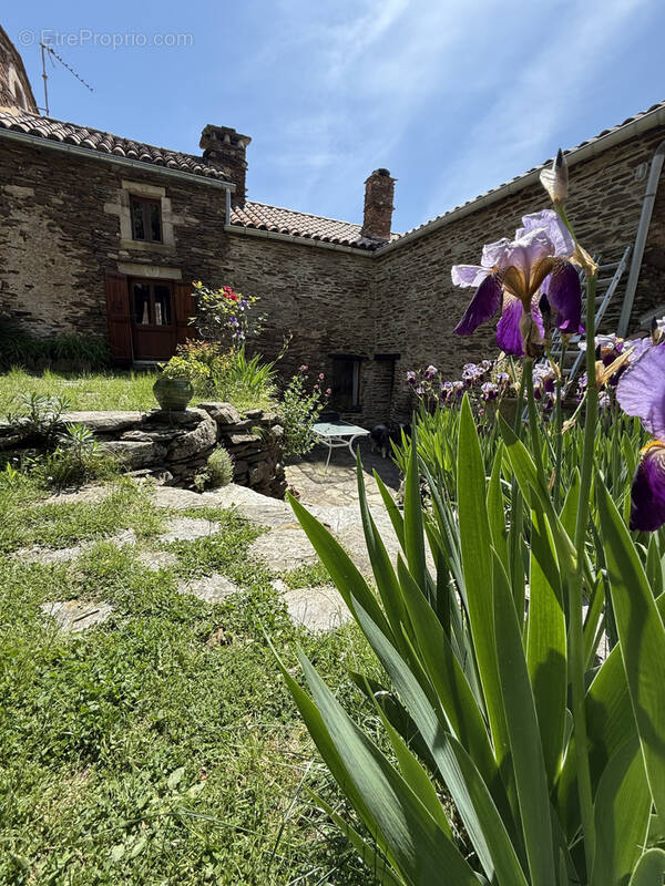 Maison à LES VANS