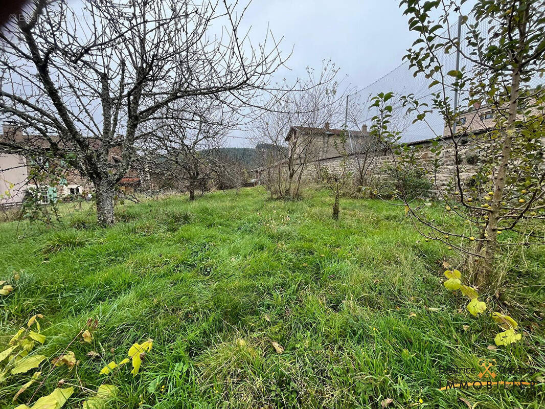 Maison à SAINT-NIZIER-D&#039;AZERGUES
