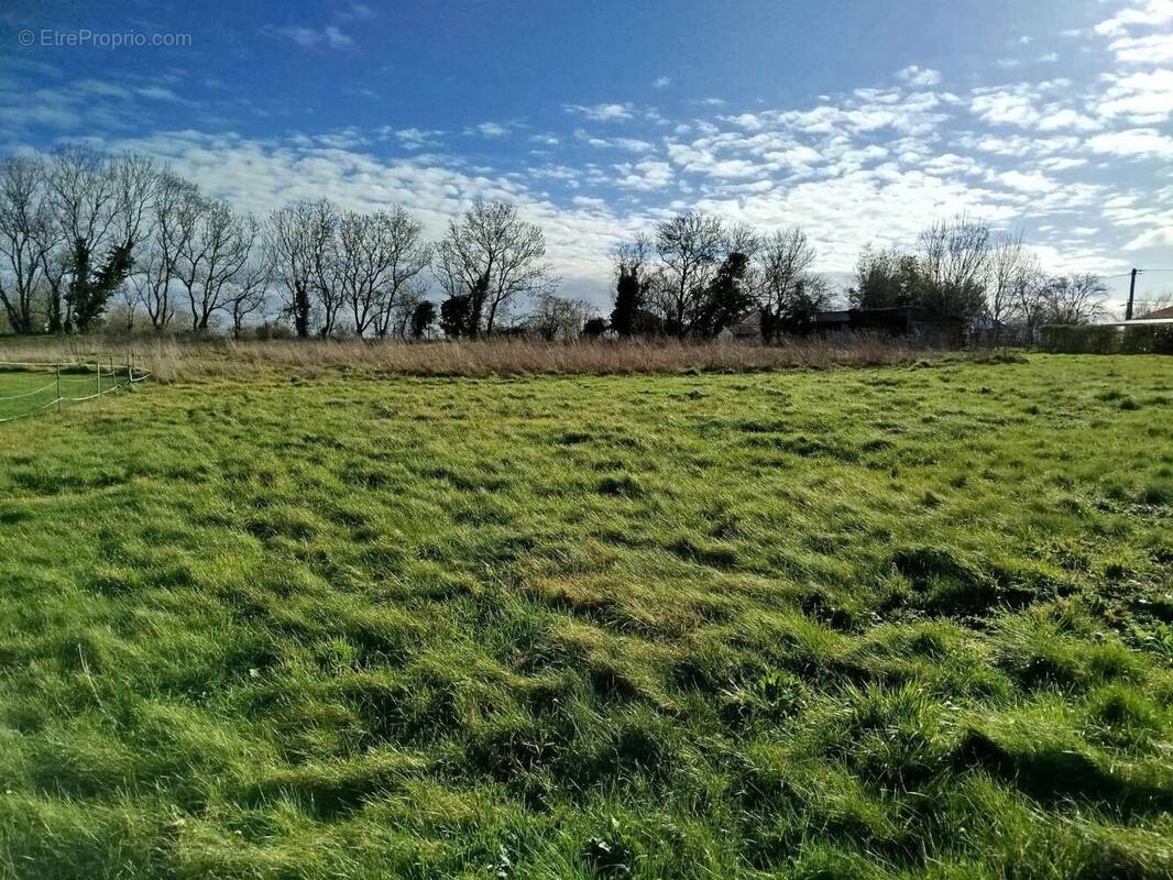 Terrain à NIORT