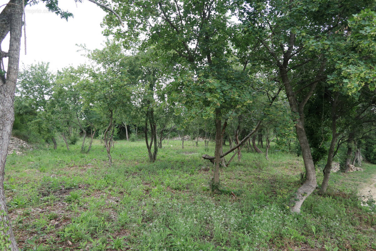 Terrain à SALAZAC