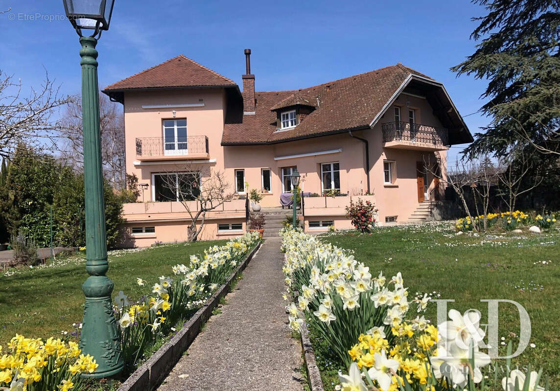 Maison à ALBENS