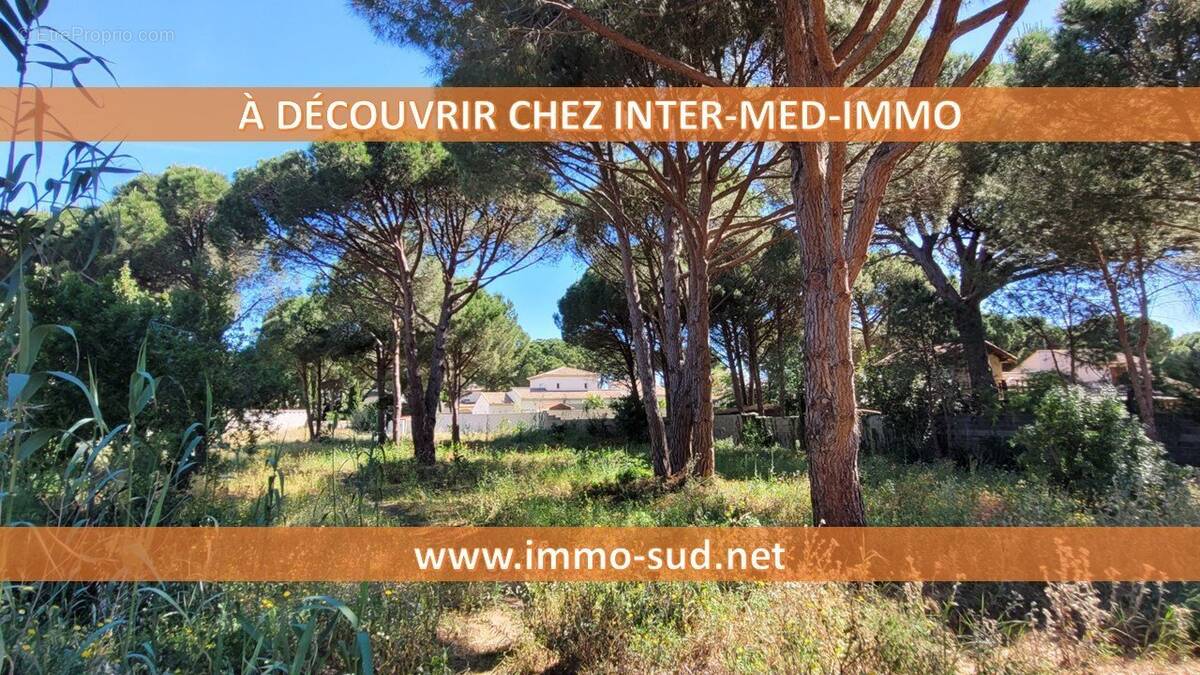 Terrain à AGDE