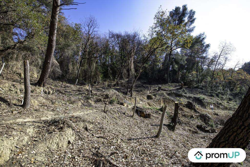 Terrain à GORBIO