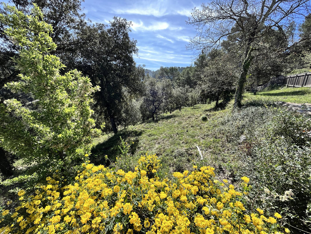 Terrain à VIDAUBAN