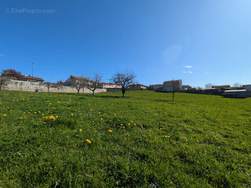 Terrain à COTTANCE
