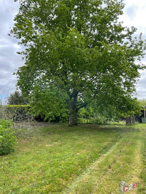Terrain à PORTETS