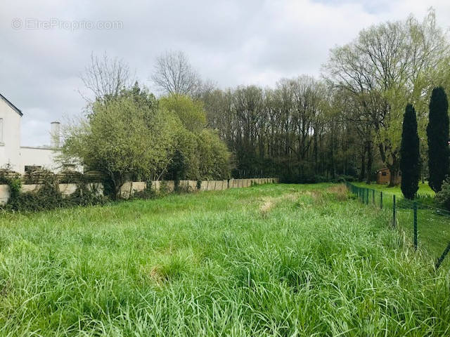 Terrain à LA CHAPELLE-DES-MARAIS