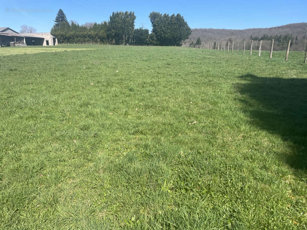 Terrain à MASSERET