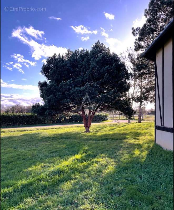 Maison à BEUVRON-EN-AUGE