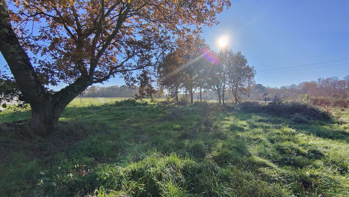 Terrain à LANGON