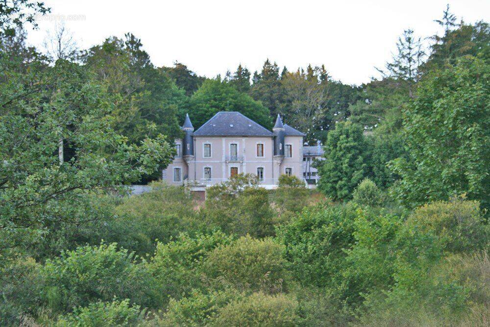 Photo 1 - Maison à LA SALVETAT-SUR-AGOUT