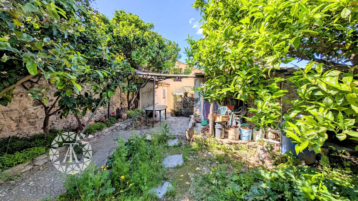 Maison à LAROQUE-DES-ALBERES