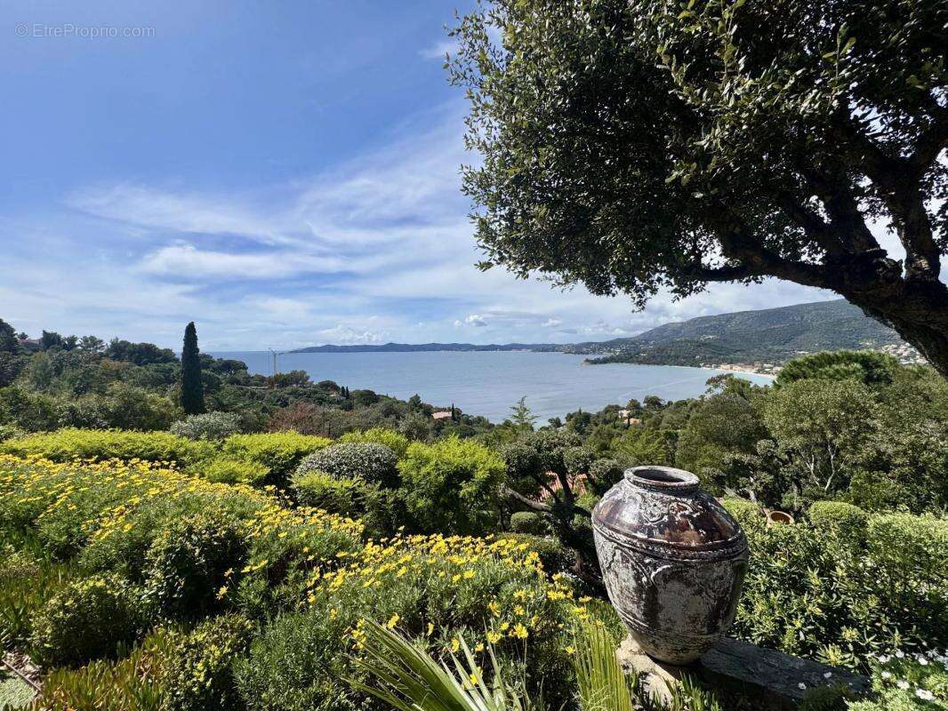 Maison à LE LAVANDOU
