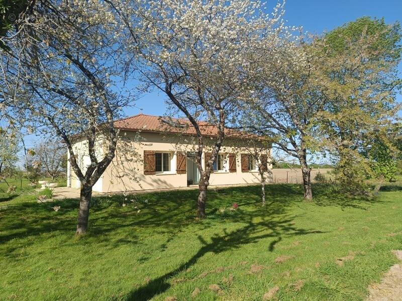 Maison à AIRE-SUR-L&#039;ADOUR