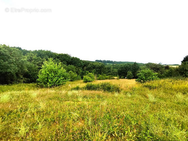 Terrain à MONCLAR-DE-QUERCY