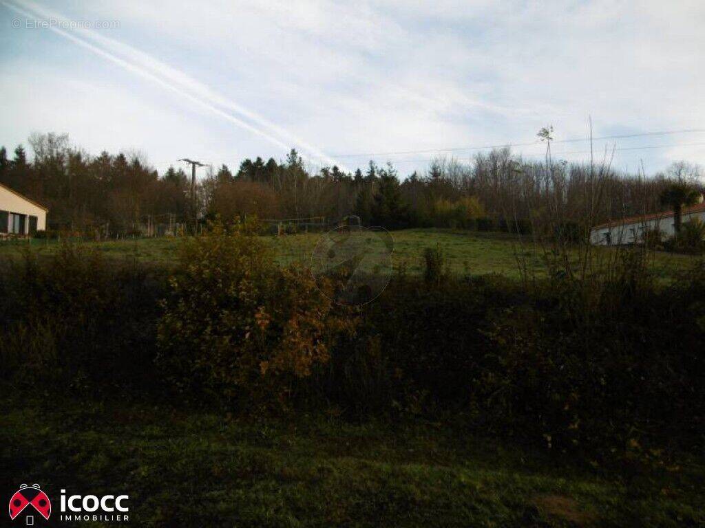Terrain à MAREUIL-SUR-LAY-DISSAIS