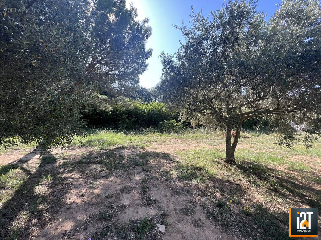 Terrain à SAINT-SIFFRET