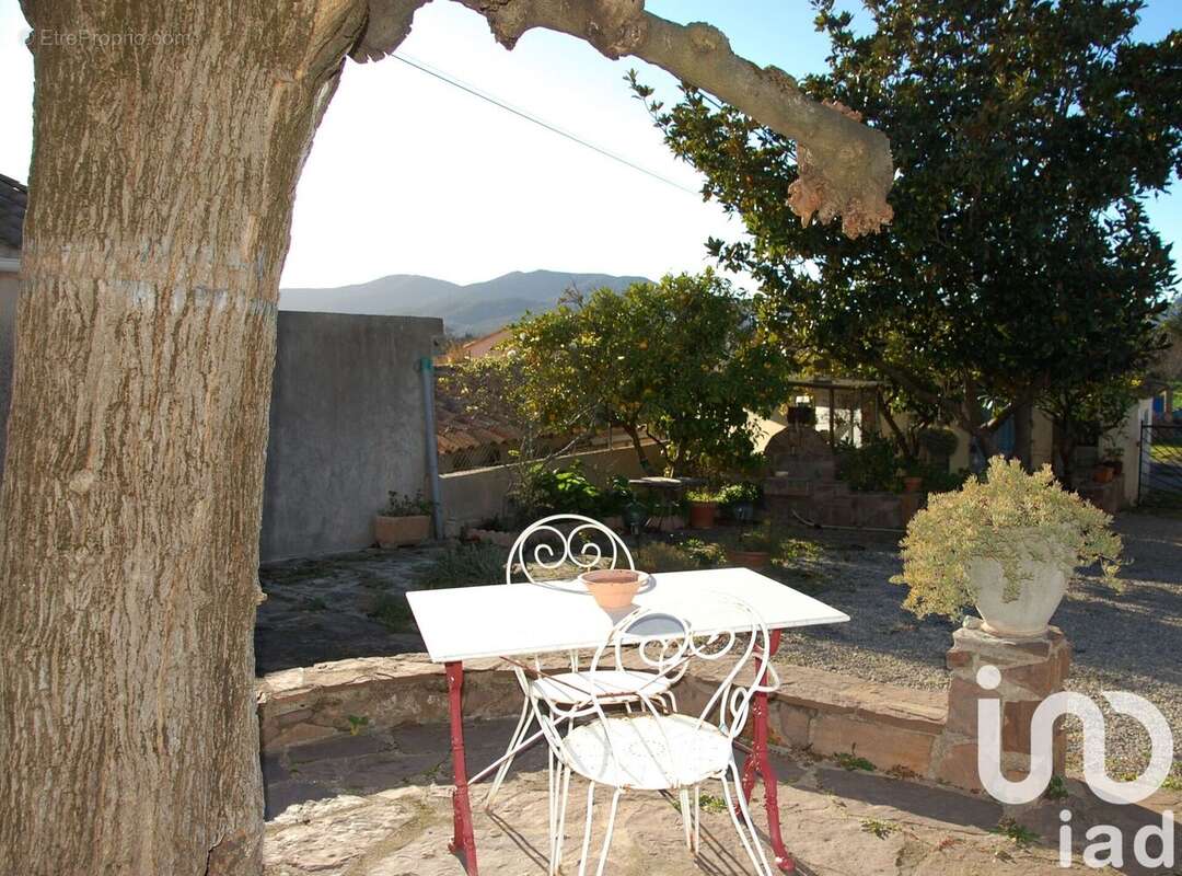 Photo 4 - Maison à PUGET-SUR-ARGENS