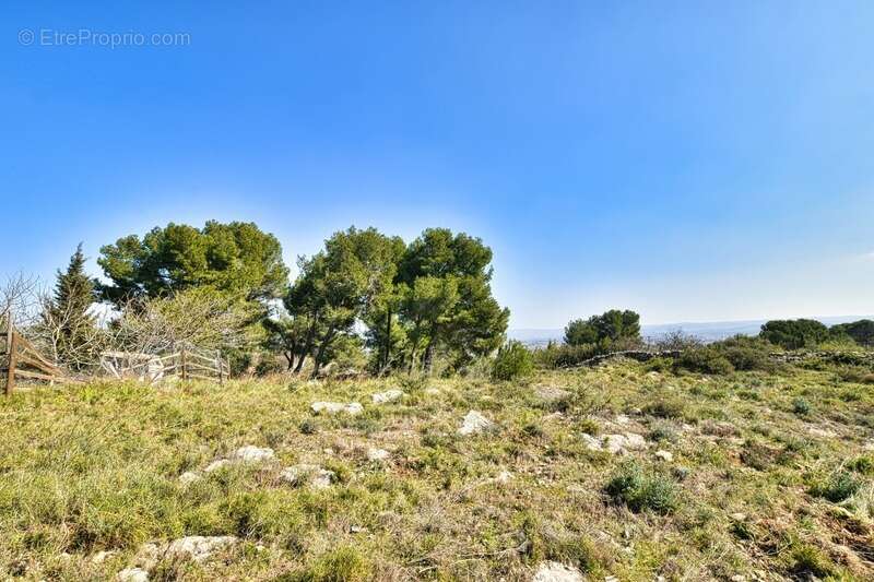 Terrain à CLERMONT-L&#039;HERAULT