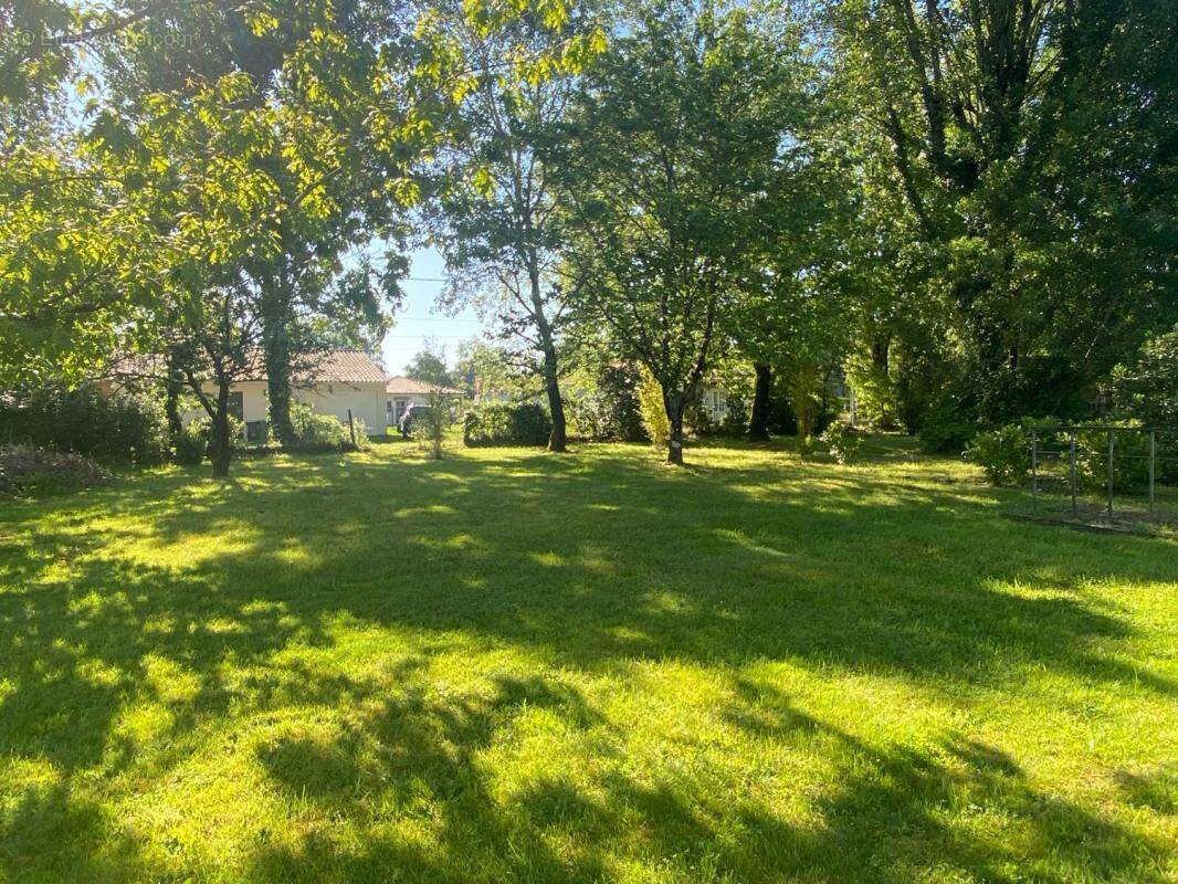 Terrain à SAINT-SULPICE-ET-CAMEYRAC