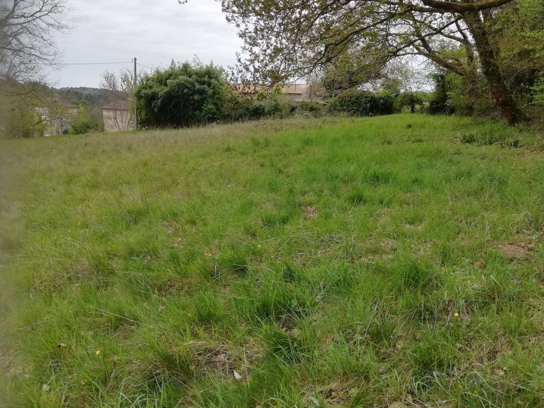 Terrain à SOURZAC