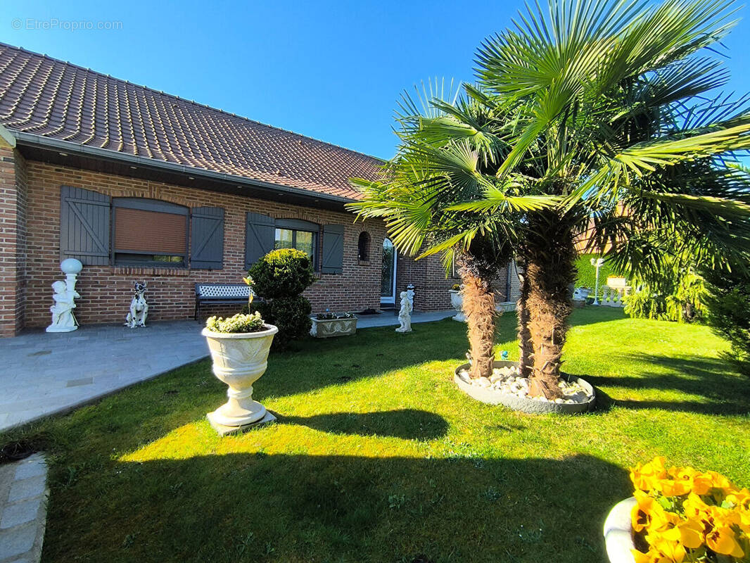 Maison à HALLUIN