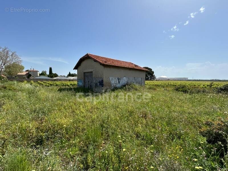 Terrain à FRONTIGNAN