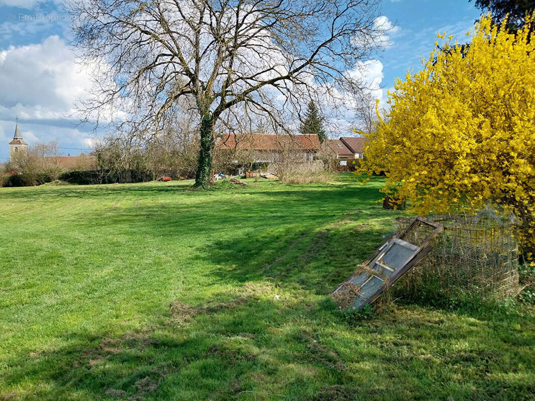 Terrain à CUSSEY-SUR-L&#039;OGNON