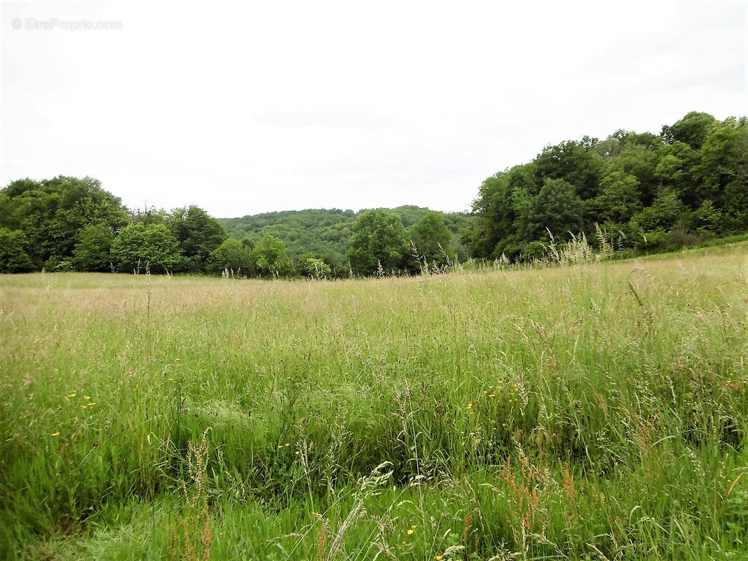 Terrain à VIGNOLS