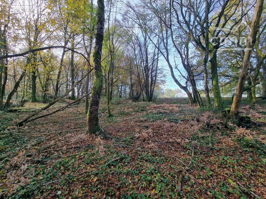 Terrain à DOMME