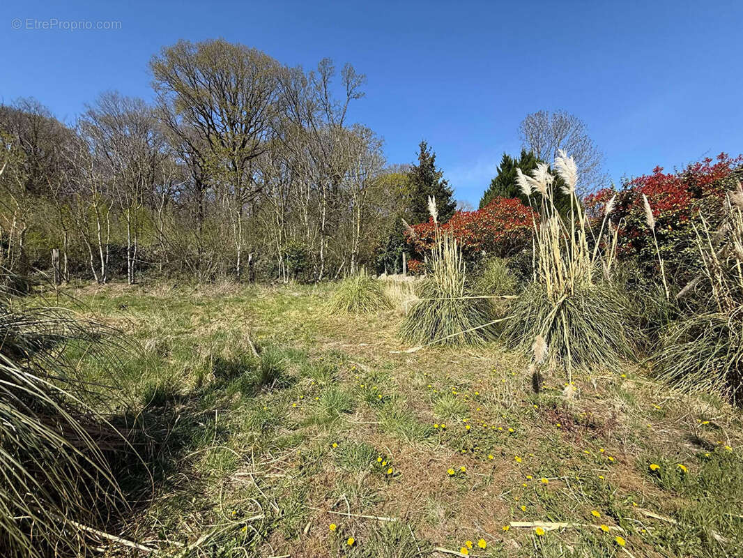 Terrain à LAPUGNOY