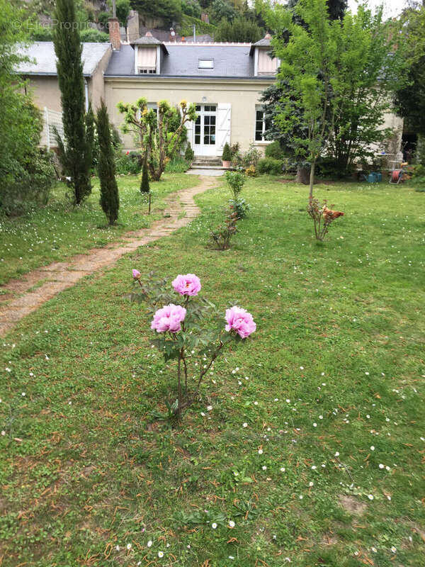 Maison à NOIZAY