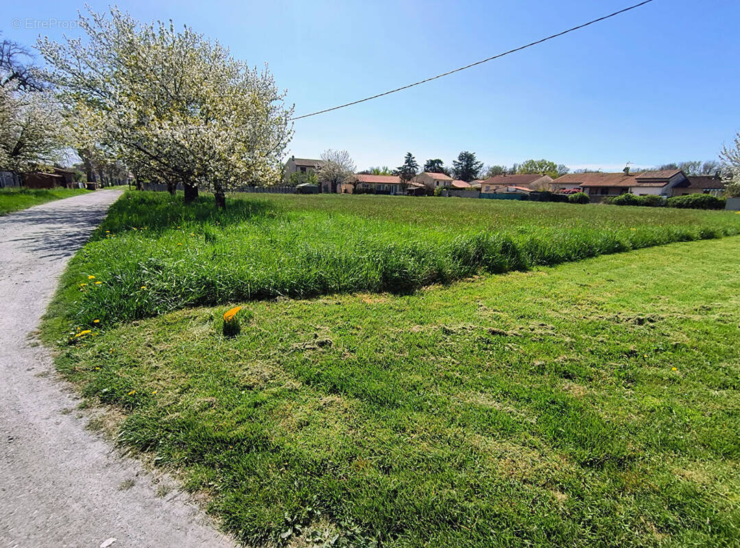 Terrain à SAINT-JUERY