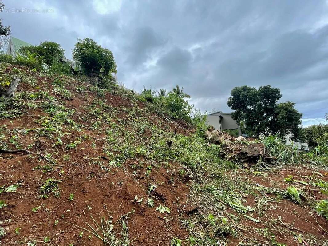 Terrain à ENTRE-DEUX
